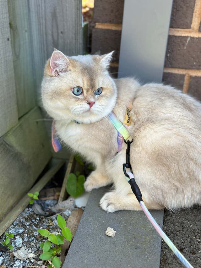 Gab outside